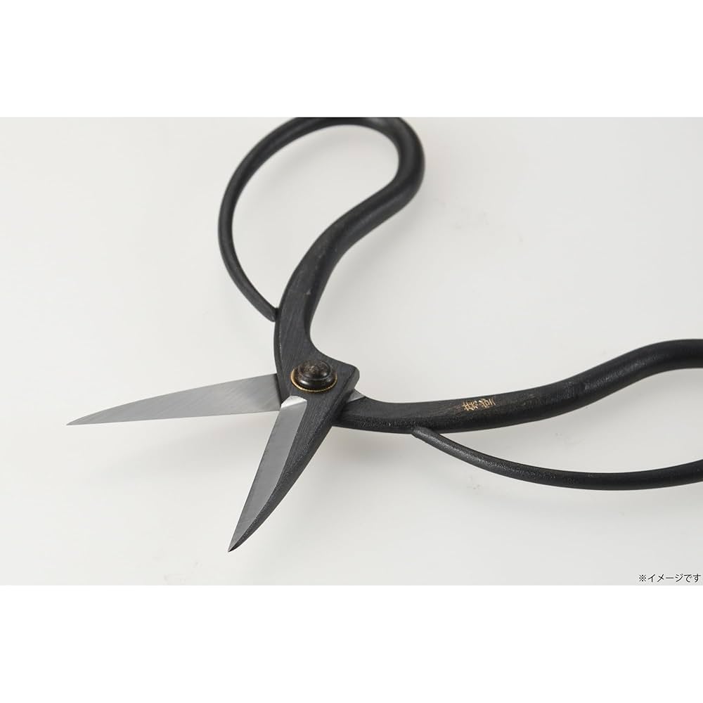 Amazon.co.jp: 高儀(Takagi) 菊堂 盆栽鋏 鋼付 180mm 鉢物 整枝
